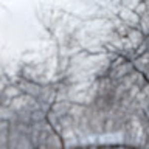 Meet your Posher, Daania